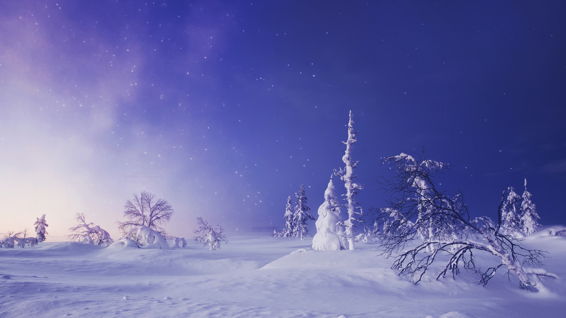 芬兰,拉普兰,冬季,雪,树,天空,风景桌面高清壁纸