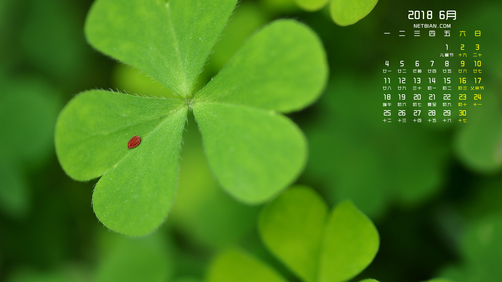 四叶草2018年6月日历桌面高清壁纸护眼
