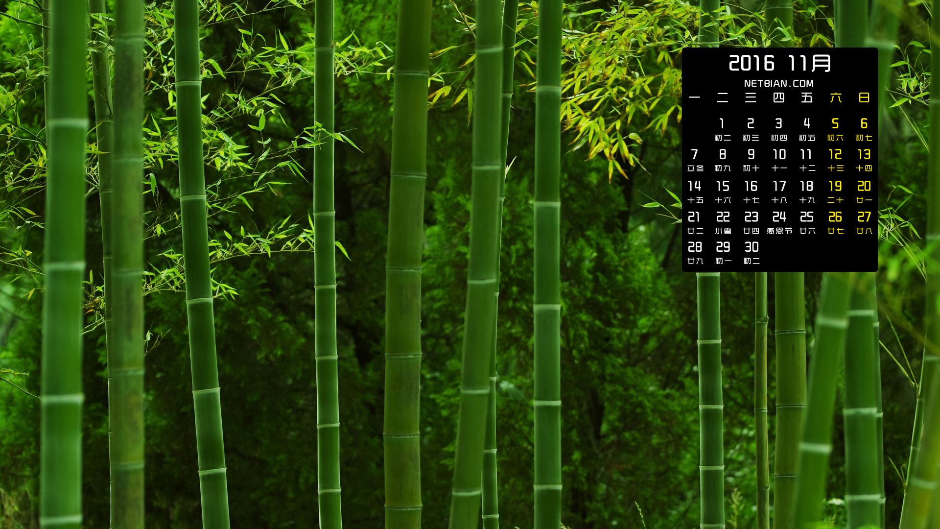 竹林风景2016年11月日历桌面高清壁纸