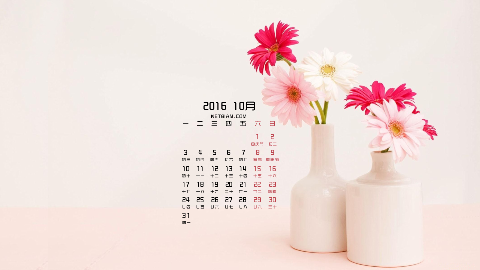 非洲菊2016年10月日历桌面高清壁纸