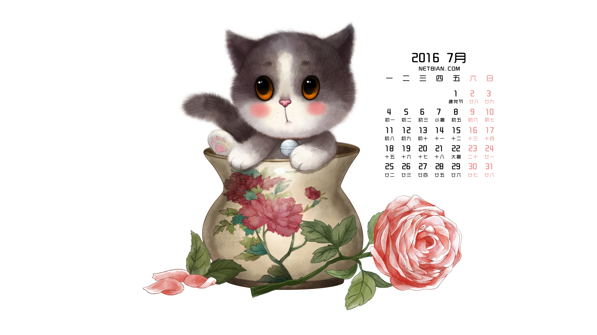 花瓶猫2016年7月日历桌面高清壁纸