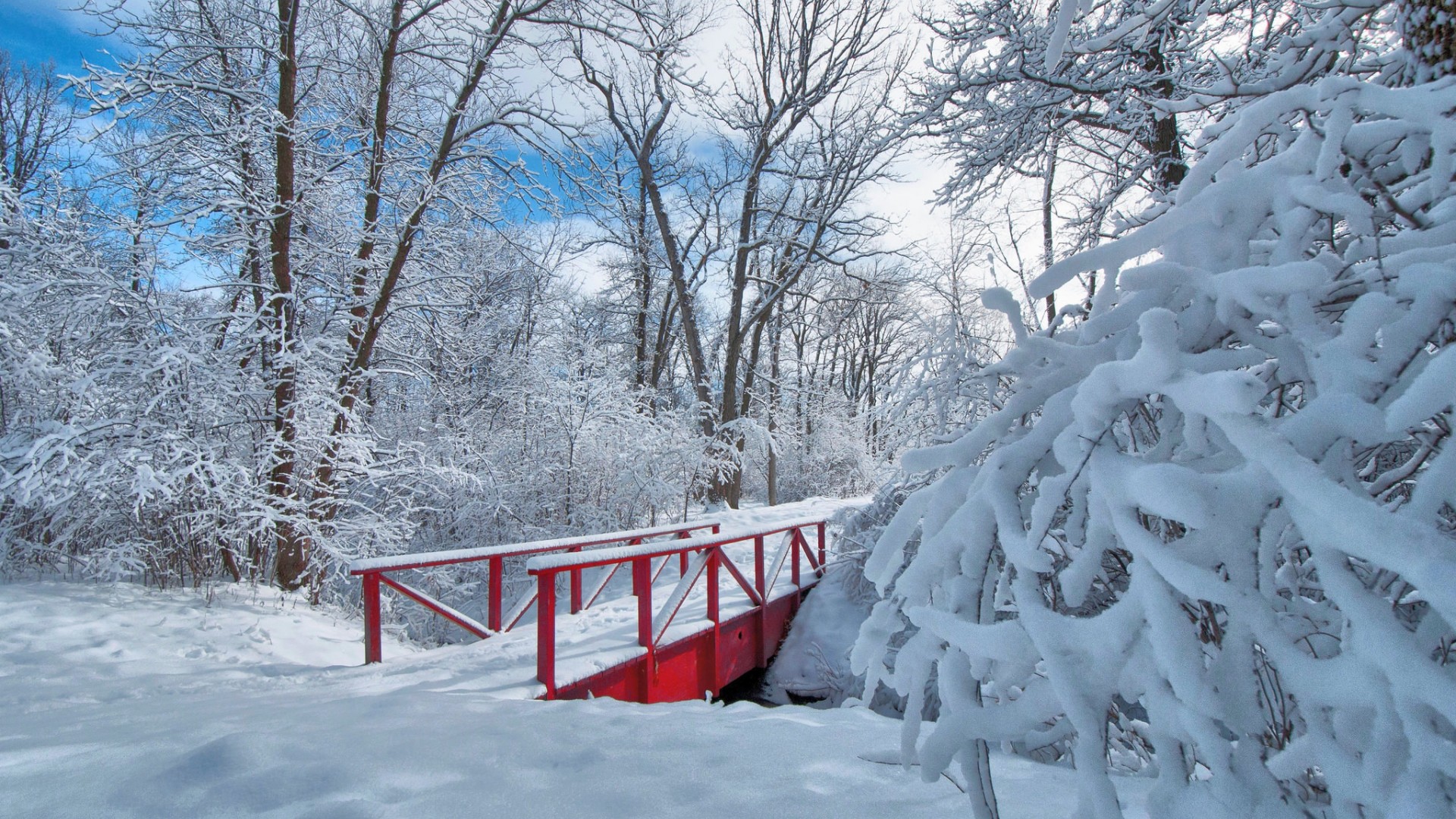 树木,公园,雪,桥梁,冬天的风景桌面高清壁纸