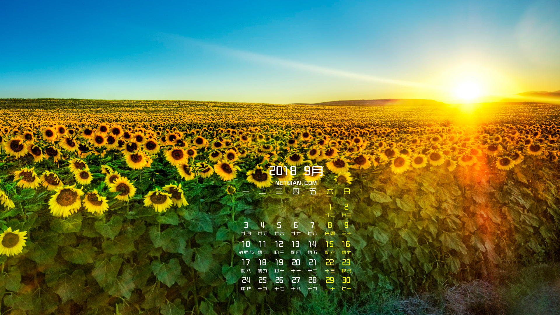 向日葵2018年9月日历风景桌面高清壁纸