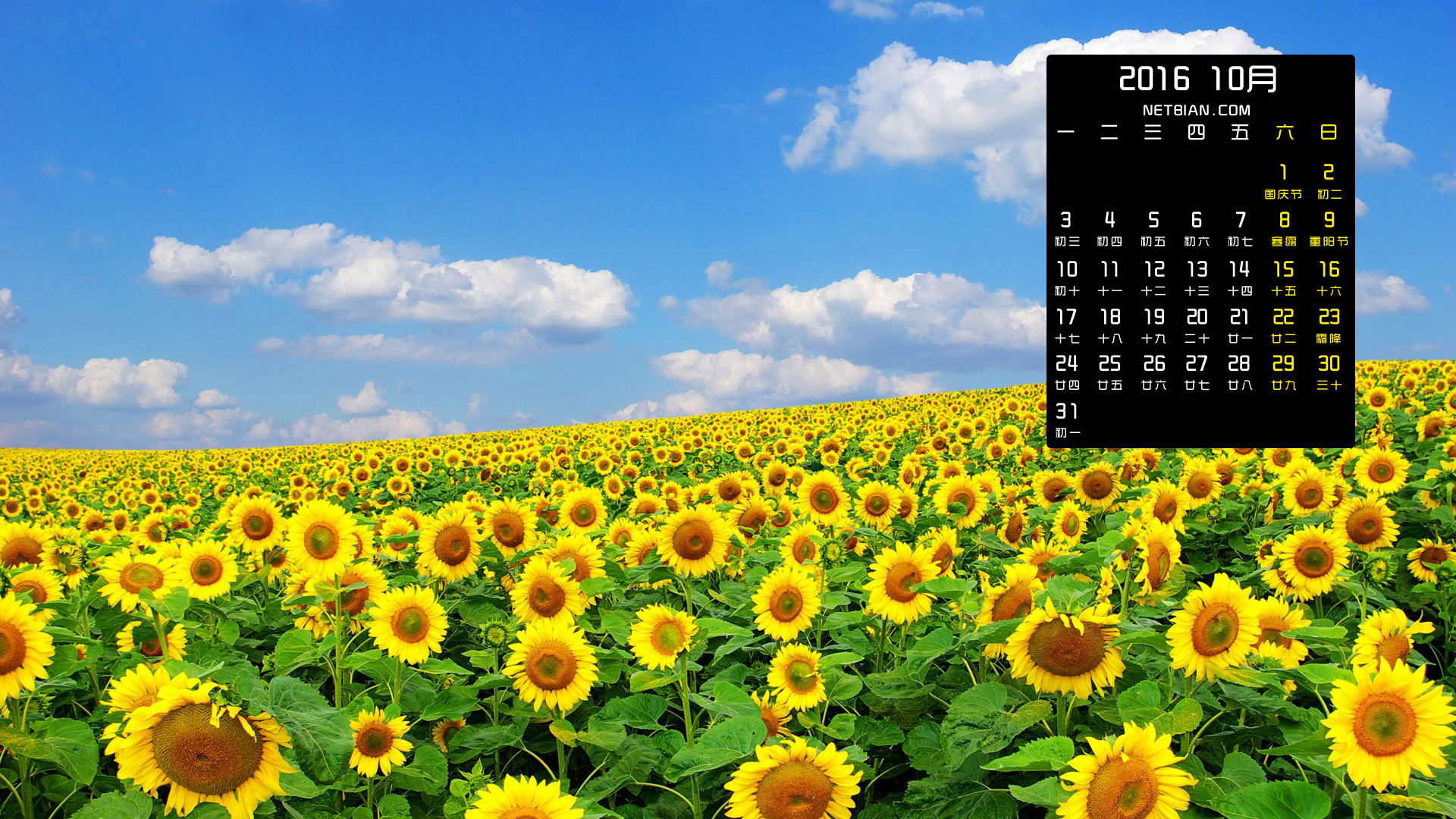 向日葵2016年10月日历桌面高清壁纸