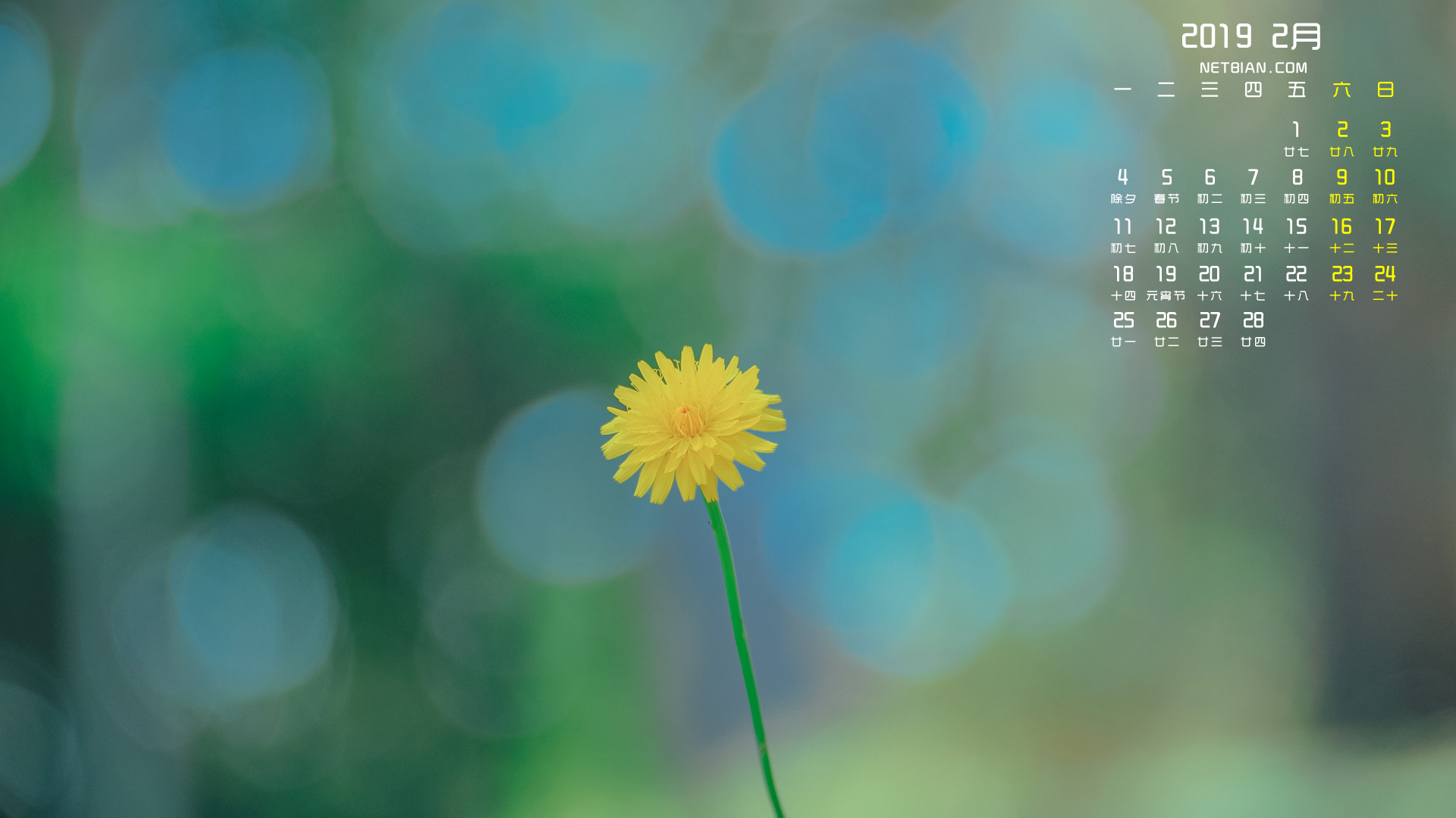 小清新2019年2月日历桌面高清壁纸护眼