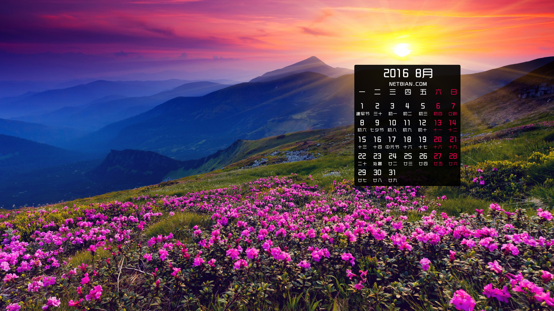 山早上的太阳鲜花2016年8月风景日历桌面高清壁纸