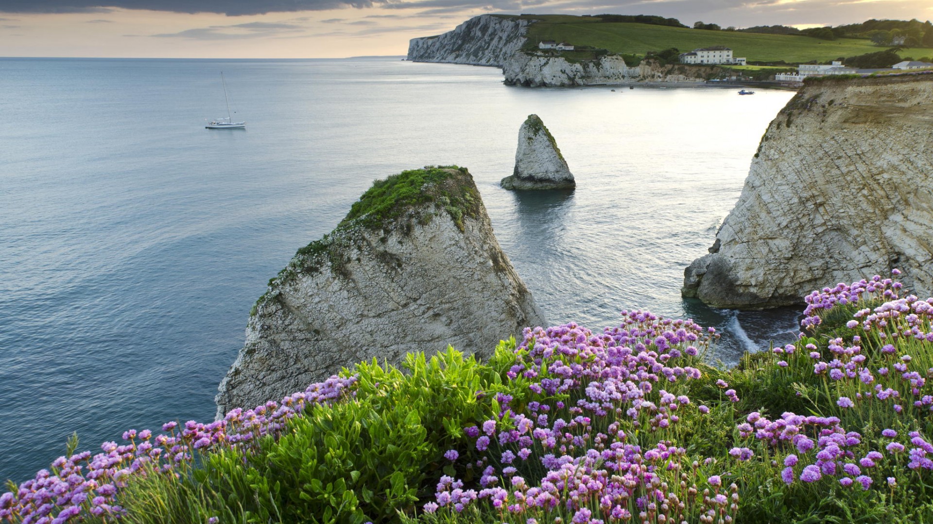 大海,海岸,黎明,花,风景桌面高清壁纸