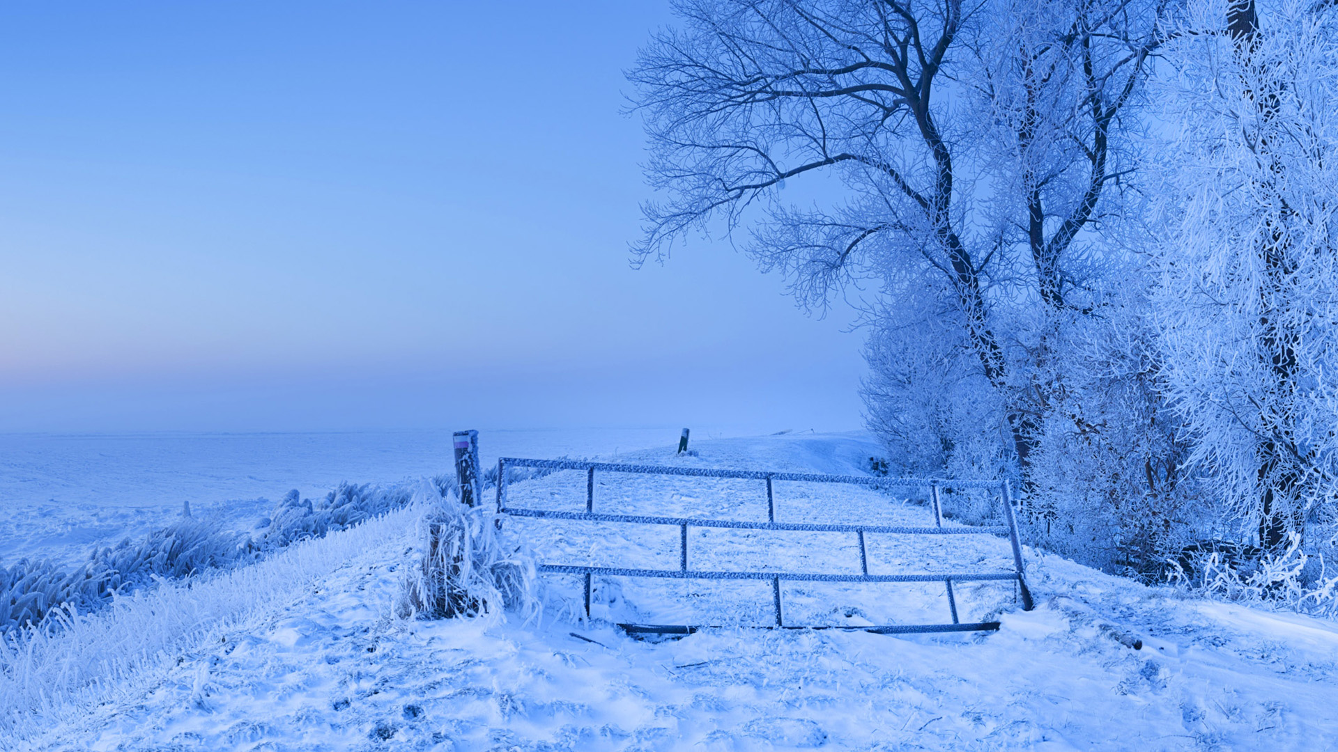 微软电脑主题 雪全景 风景桌面高清壁纸