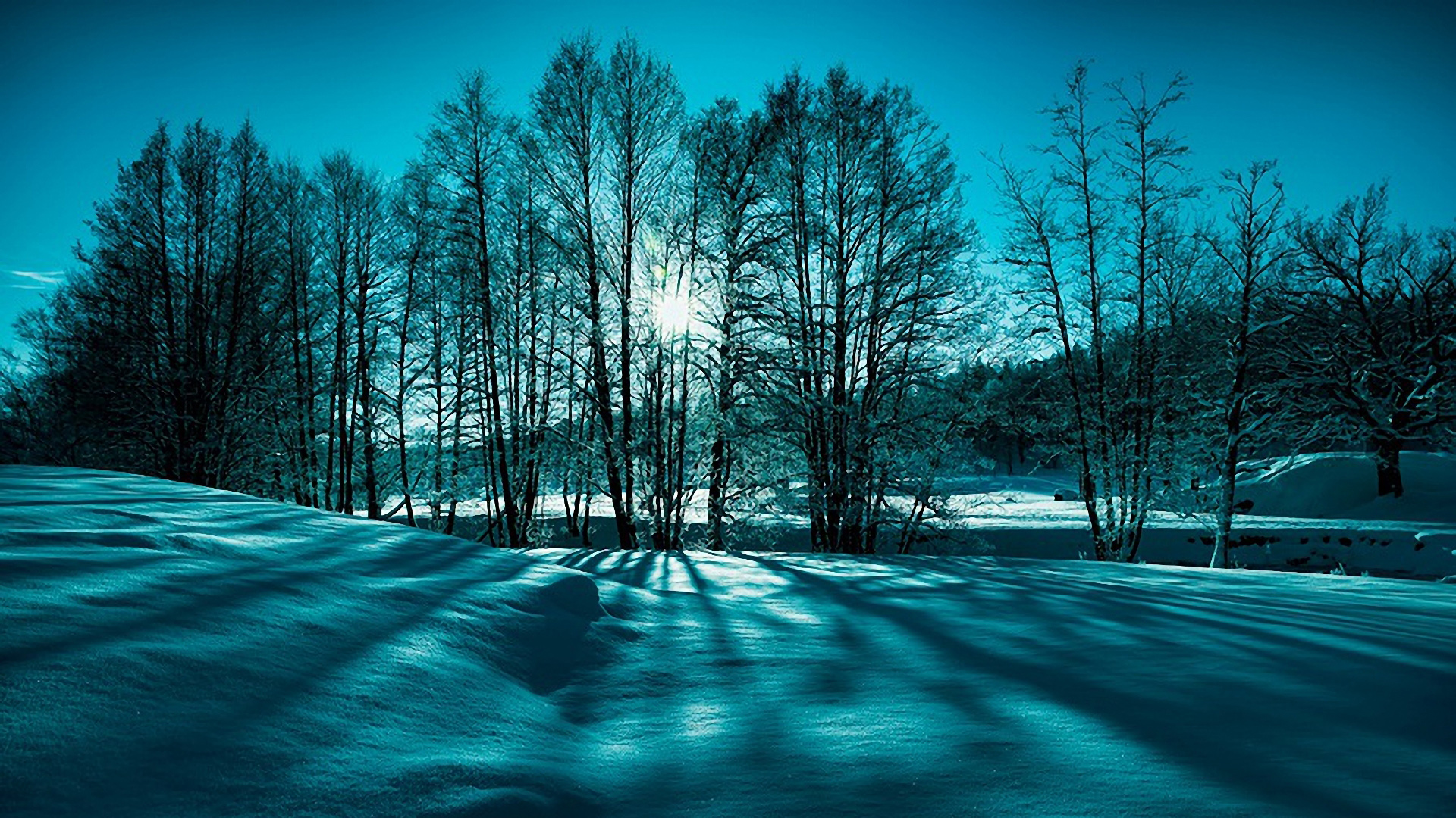 冬天的雪,树木,太阳,蓝色天空,雪地,风景桌面高清壁纸