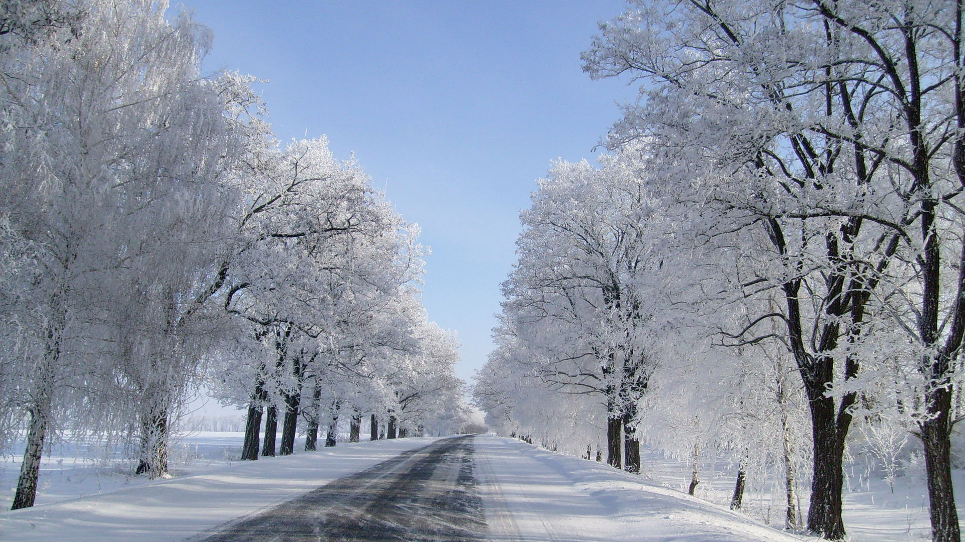 下雪后公路美景桌面高清壁纸