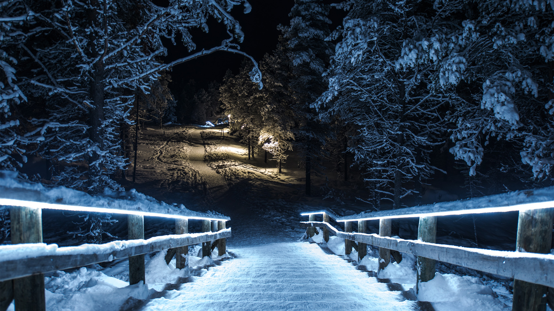 冬天夜晚,树林,雪,公园,栅栏,小路,风景桌面高清壁纸