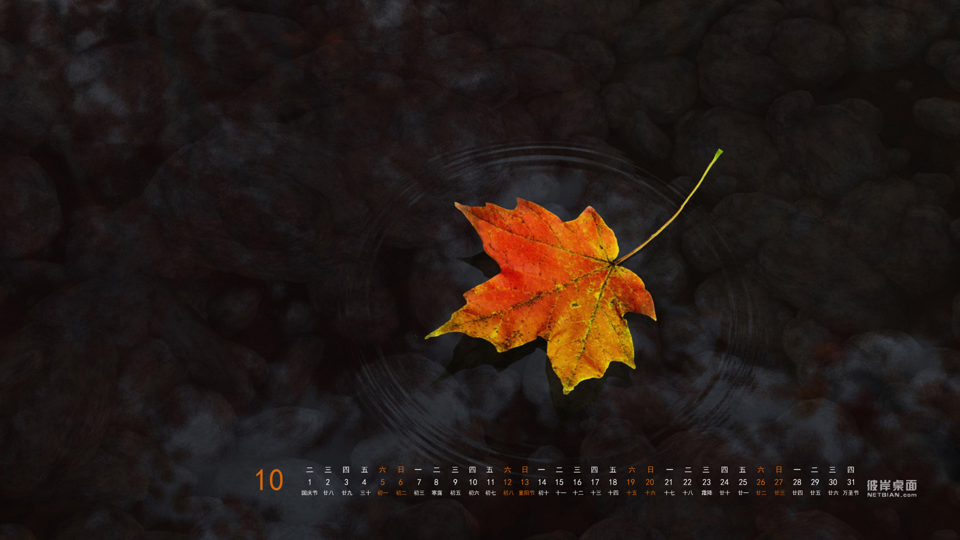 水中落叶2013年10月日历桌面高清壁纸 2013年全年日历高清壁纸
