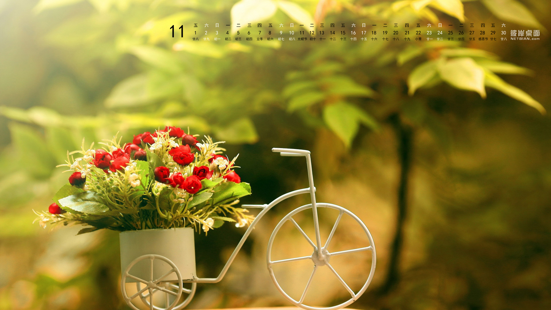 彼岸桌面 玫瑰花骑自行车2013年11月日历桌面高清壁纸