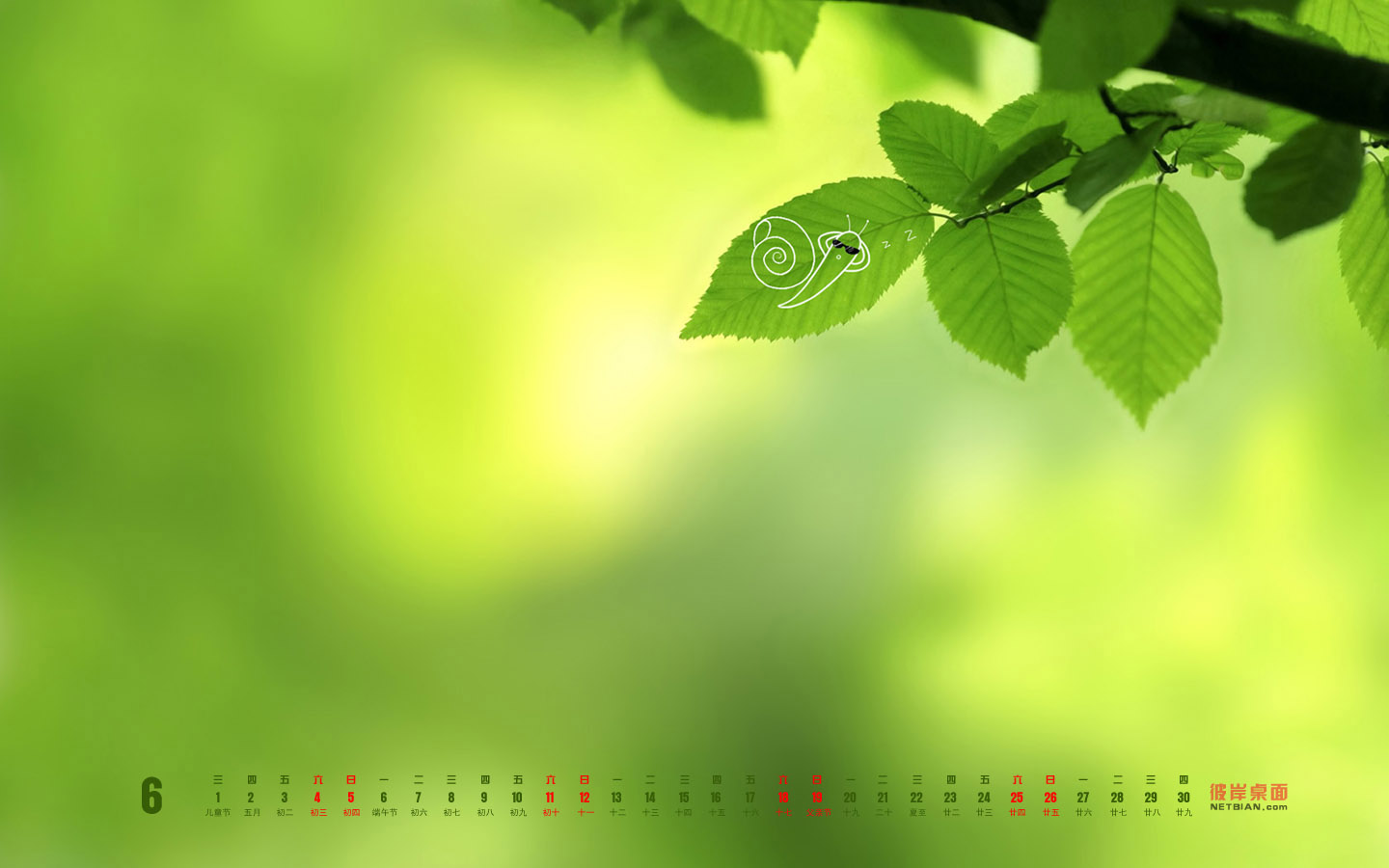 静静地树叶2011年6月日历高清壁纸