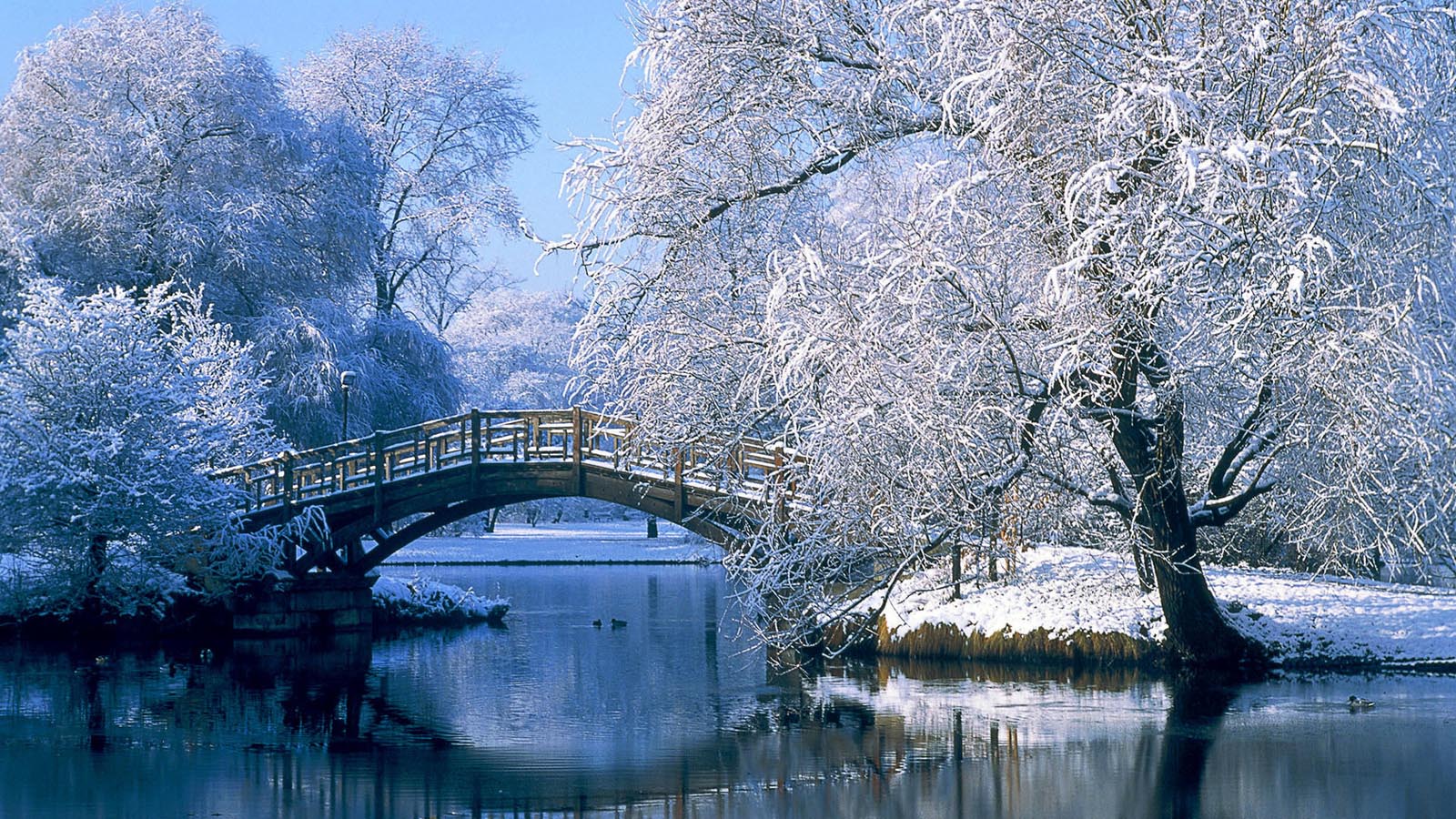 漂亮的雪风景桌面高清壁纸