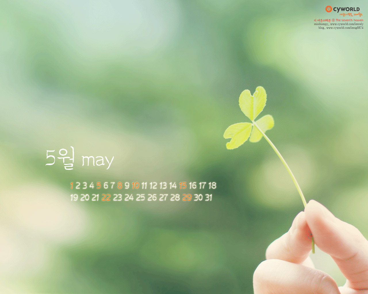 cyworld 2011年5月月历高清壁纸