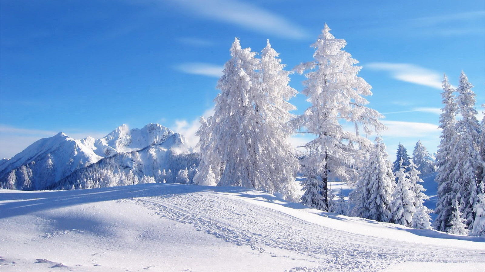 美丽雪风景桌面高清壁纸