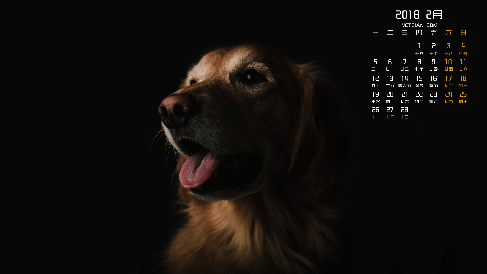 狗狗2018年2月日历桌面高清壁纸