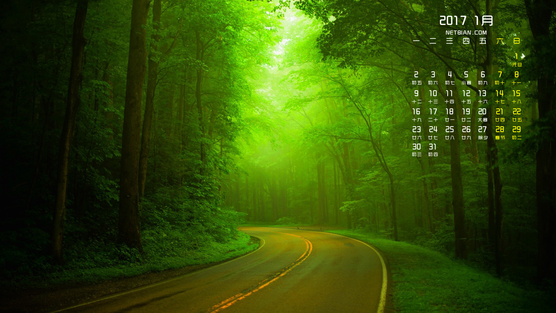 森林道路风景2017年1月日历桌面高清壁纸