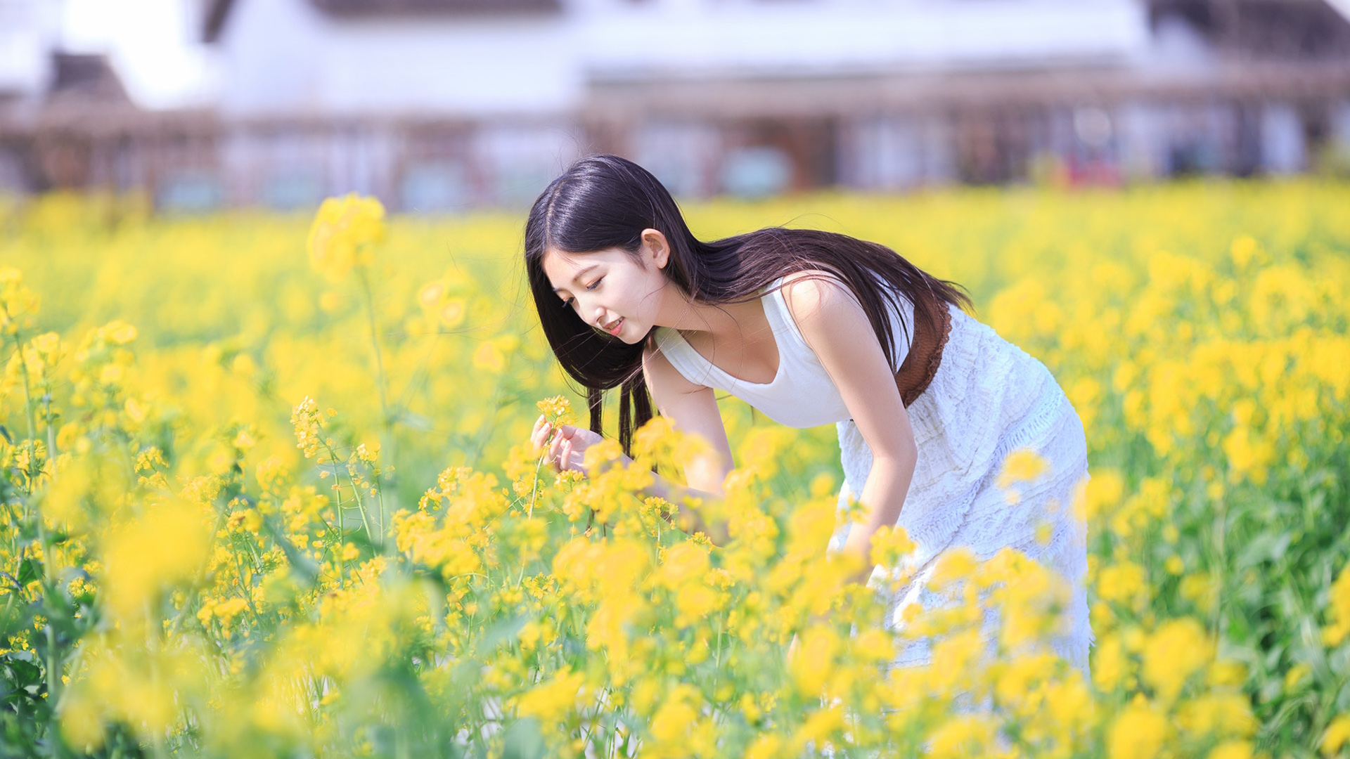 花海里的清新女孩，清纯美女，笑容甜美的美女高清壁纸