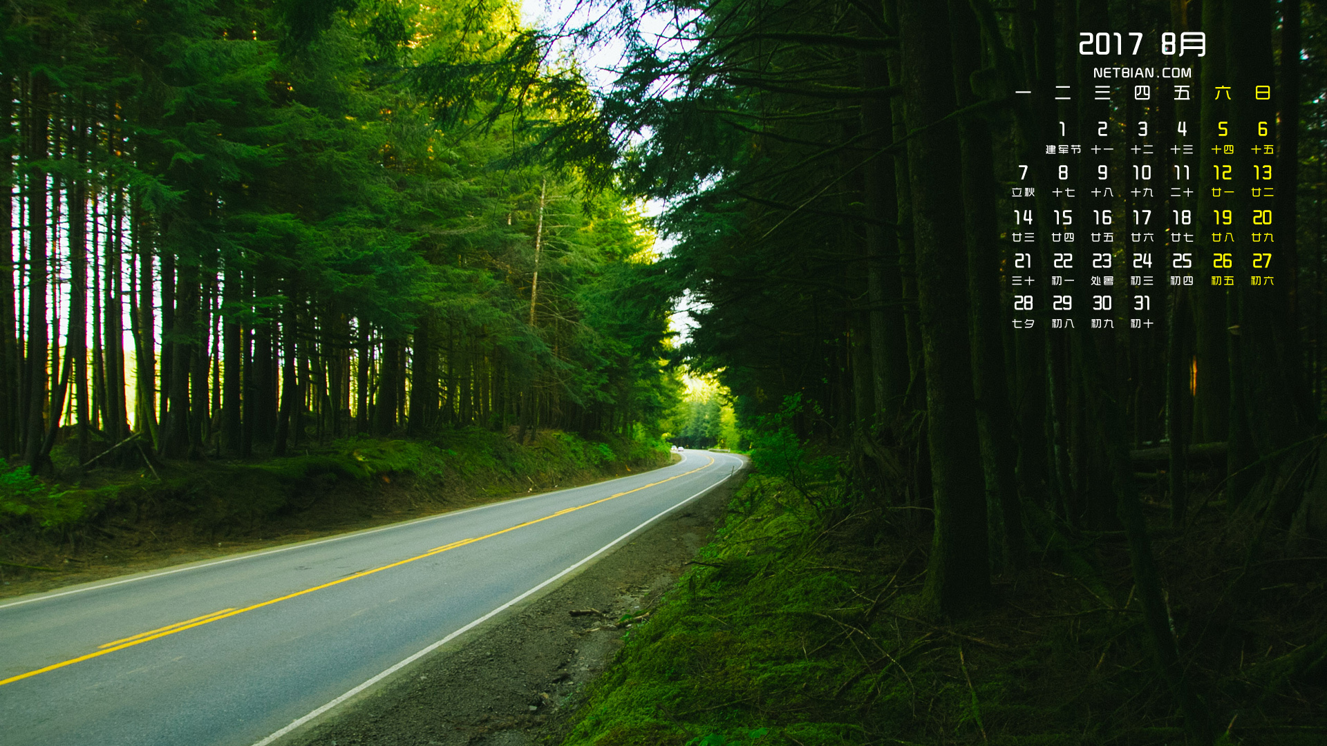绿色树林道路风景2017年8月日历桌面高清壁纸