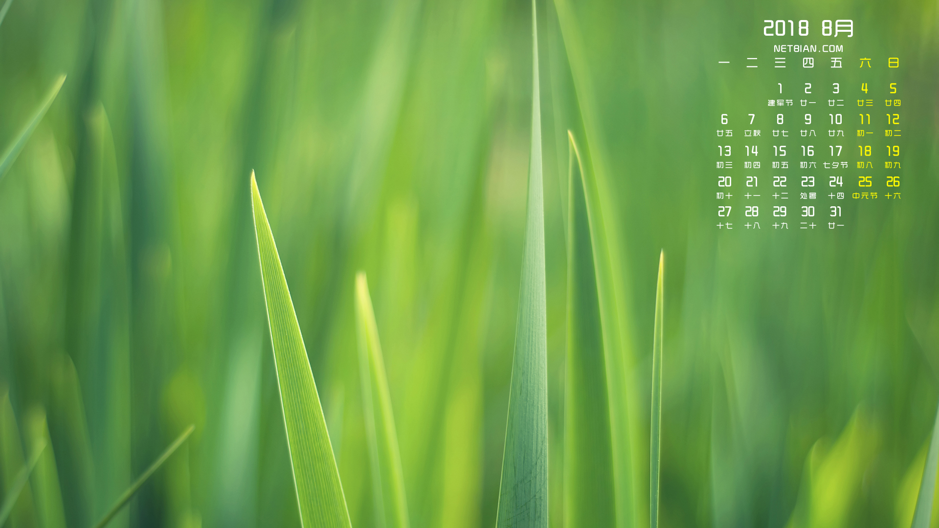 绿色植物小清新2018年8月日历桌面高清壁纸护眼