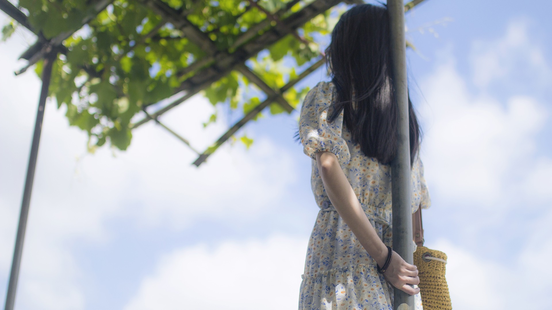 我们被彼此淡忘,女孩,背影,伤感,高清壁纸