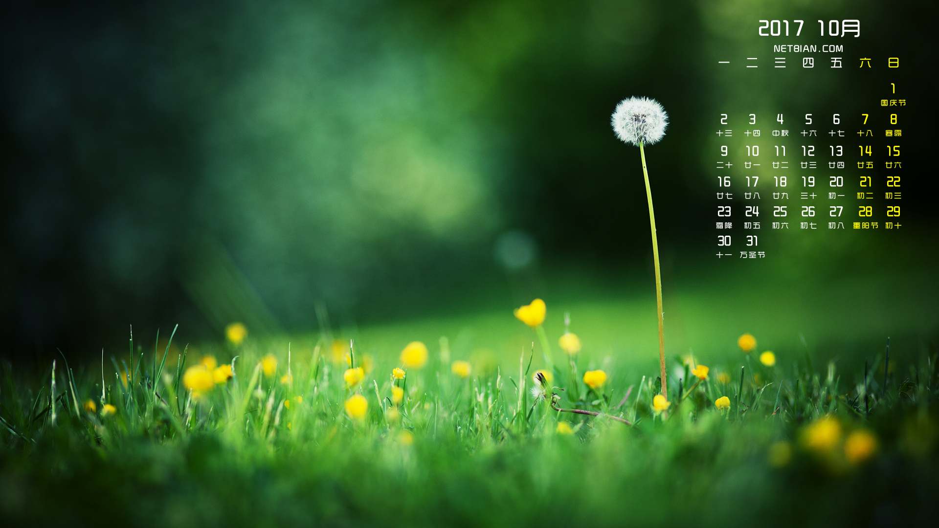 绿色草地鲜花蒲公英2017年10月日历桌面高清壁纸