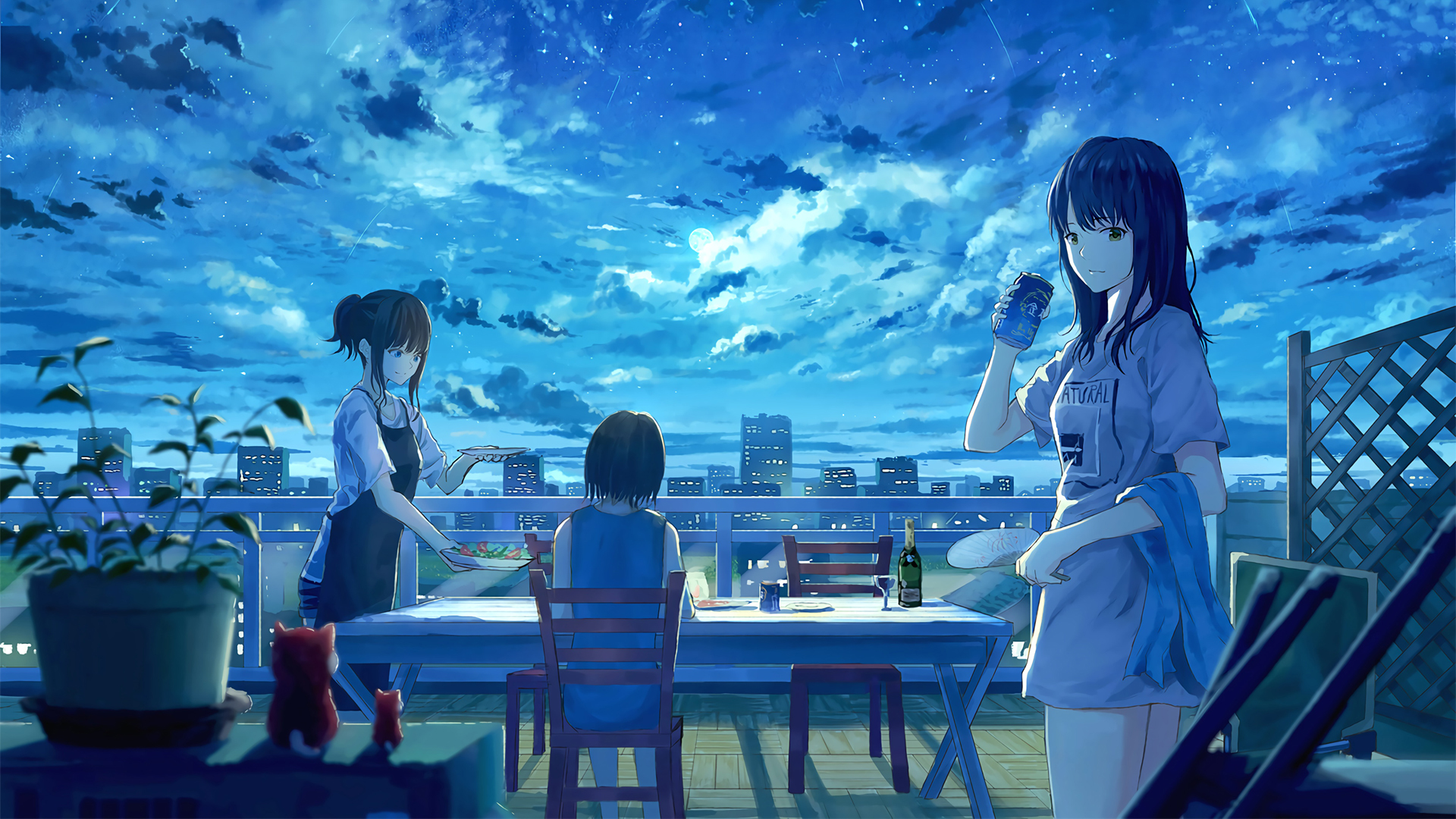女孩子 星空 流星 餐桌 聚会 动漫高清壁纸
