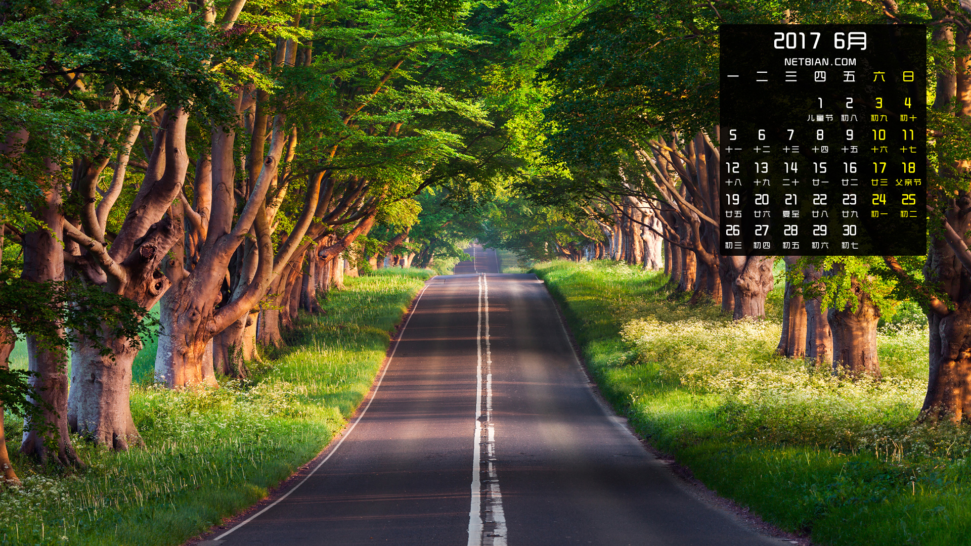 绿色林间道路风景2017年6月护眼日历桌面高清壁纸