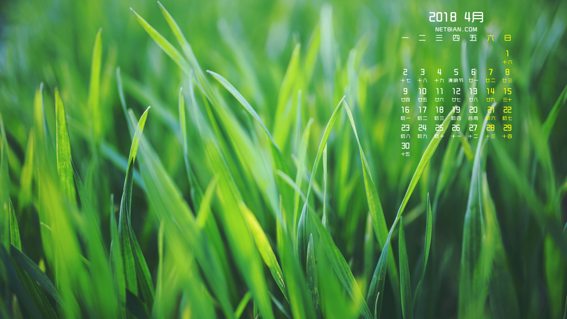 护眼绿草2018年4月日历桌面高清壁纸