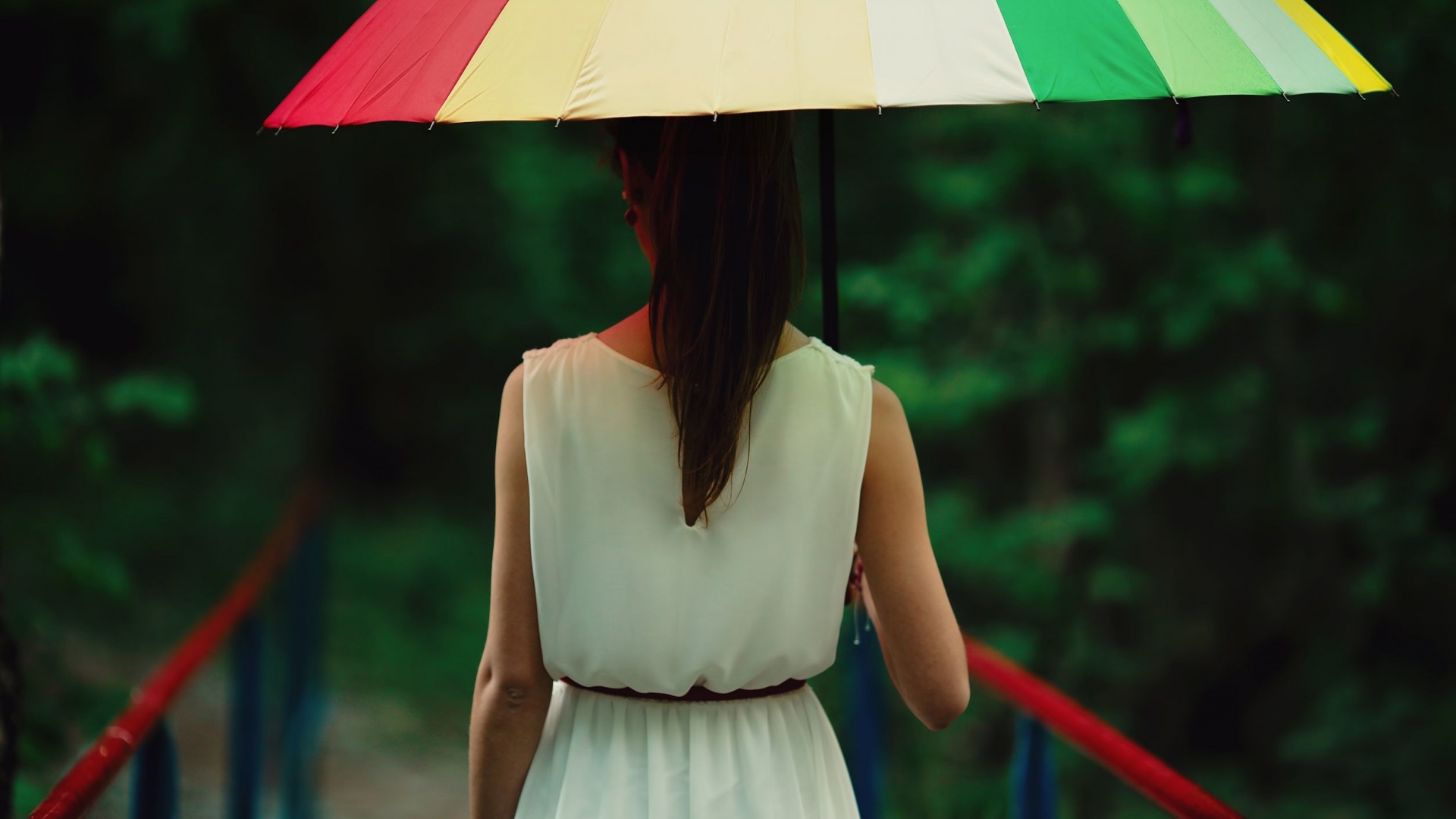 森林,桥梁,一个女孩,白色裙子,背影,雨伞,桌面高清壁纸