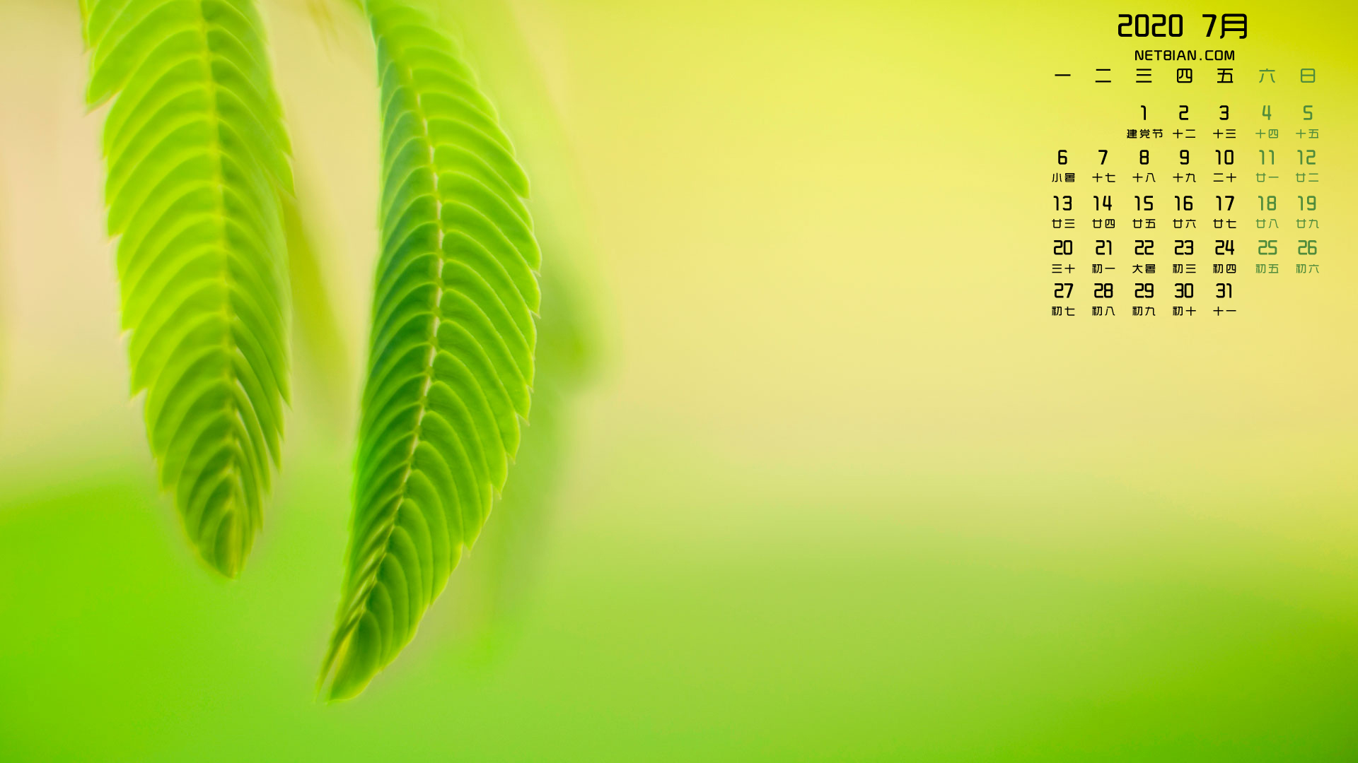 绿色植物2020年7月日历精选高清壁纸