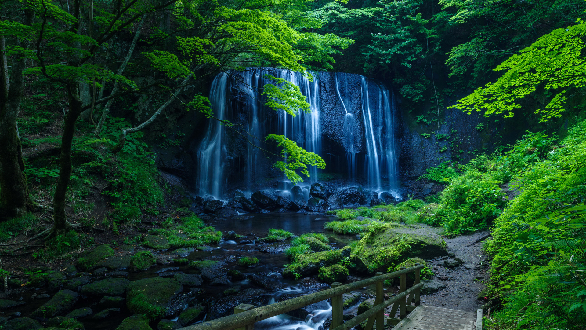 大自然 绿色 森林 树木 岩石 溪流 石头 瀑布 青苔 人行桥 2K风景桌面高清壁纸