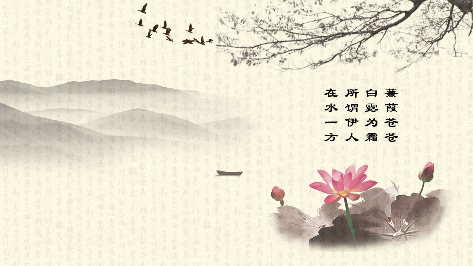碧叶亭亭桌面高清壁纸