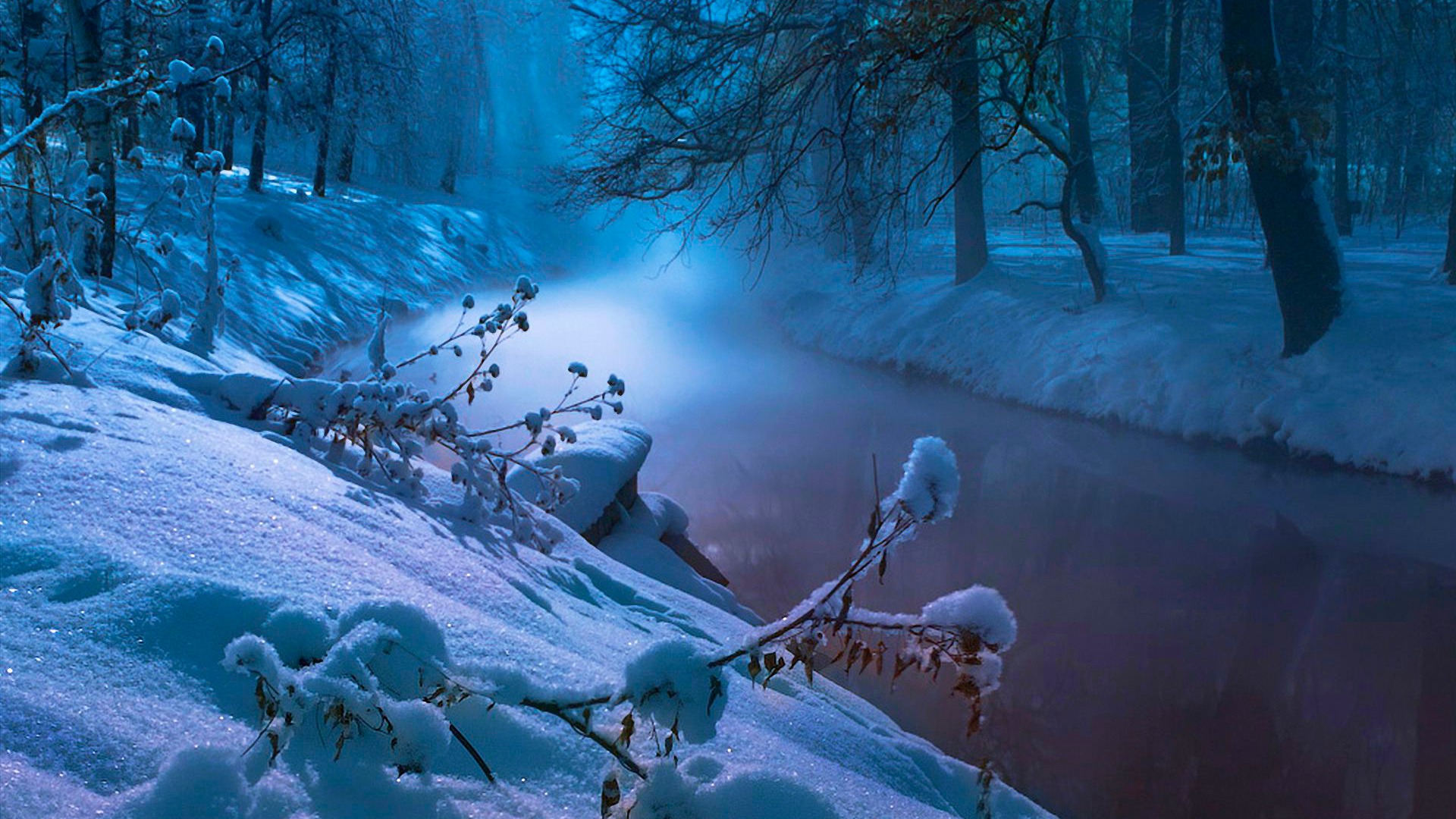 河流，溪流，冬天，树木，森林，雪的图片，自然风景桌面高清壁纸