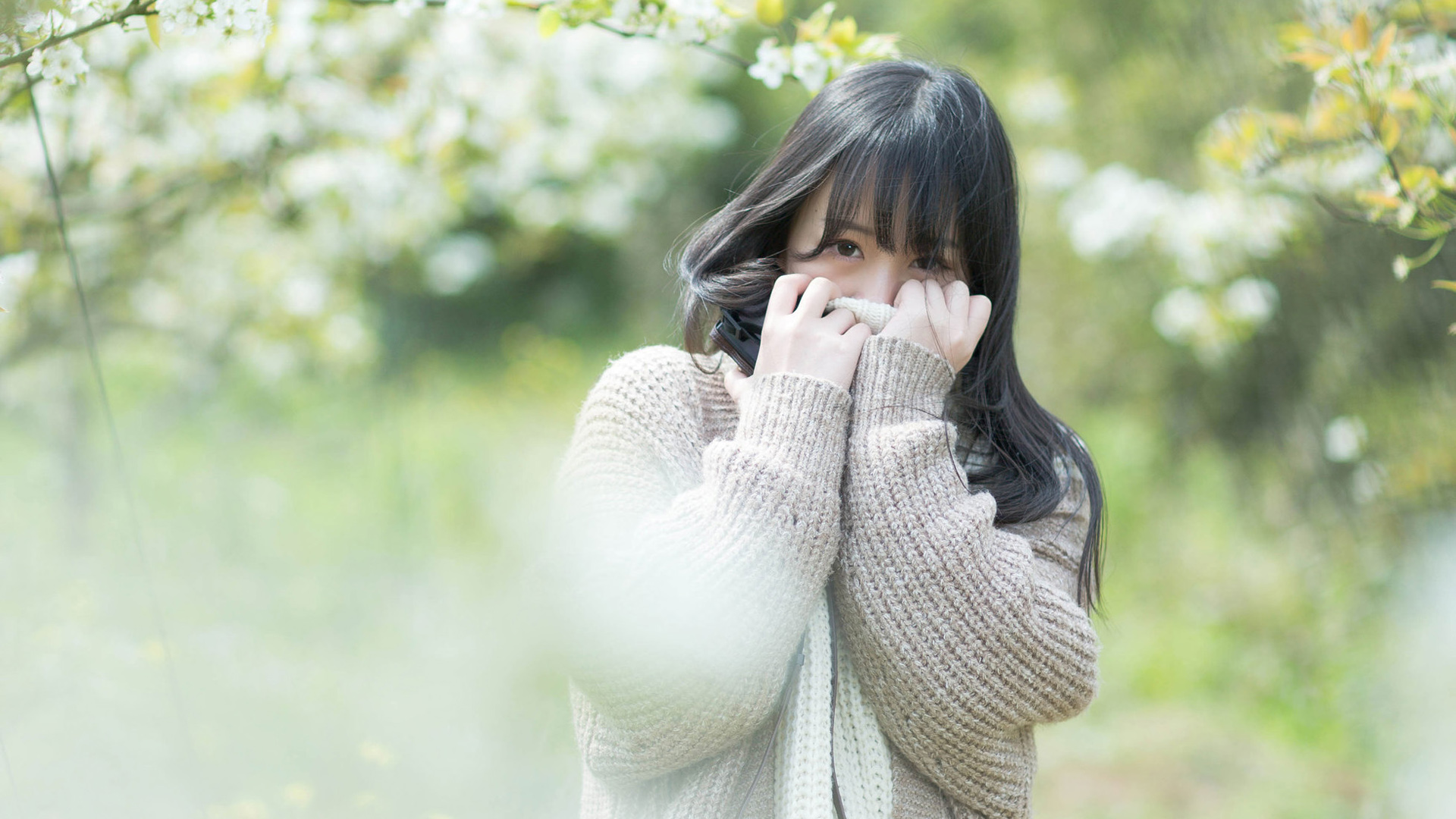 花开花落 长发甜美美女桌面高清壁纸