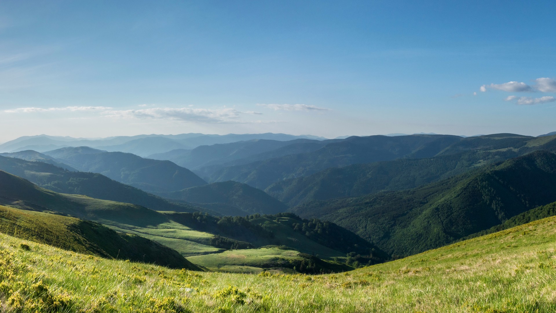 保加利亚皮林山,山脉,田野,草地风景桌面高清壁纸