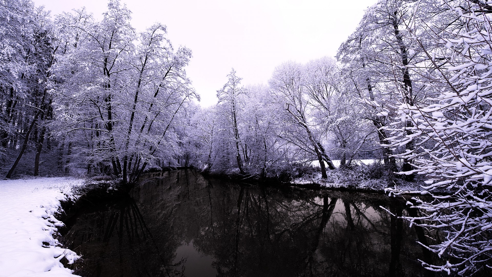 冬天,自然,森林,河流,雪,树木,倒映,美景,桌面高清壁纸