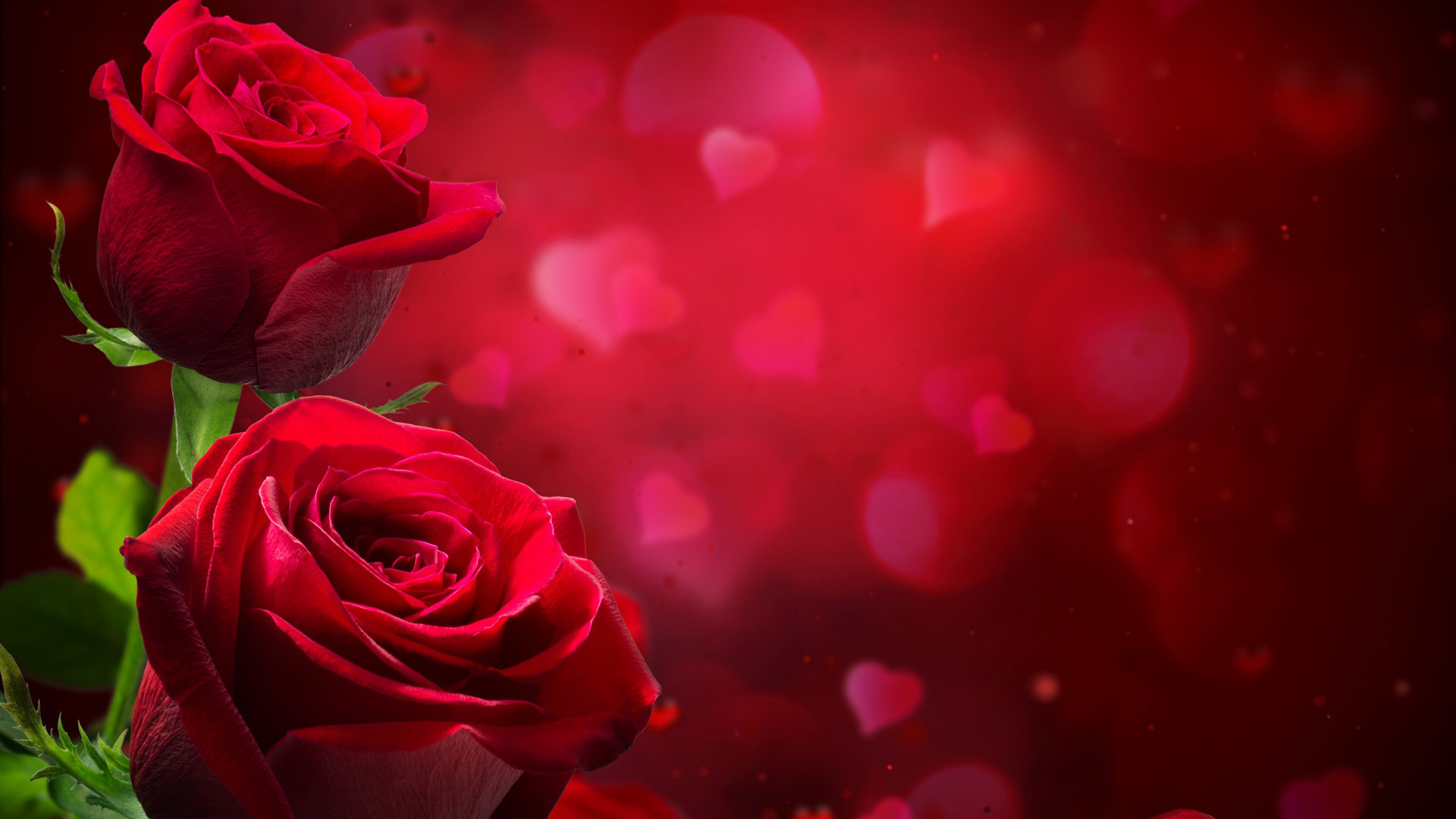 红色玫瑰花爱心背景桌面高清壁纸