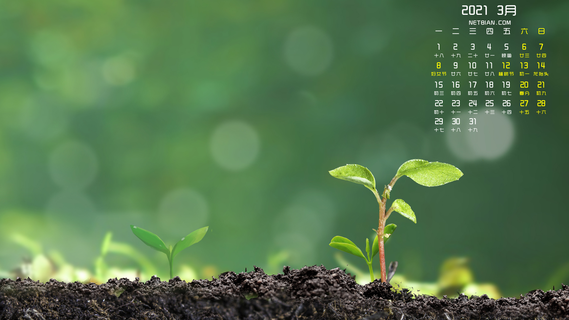 春天新生植物2021年3月日历桌面高清壁纸护眼