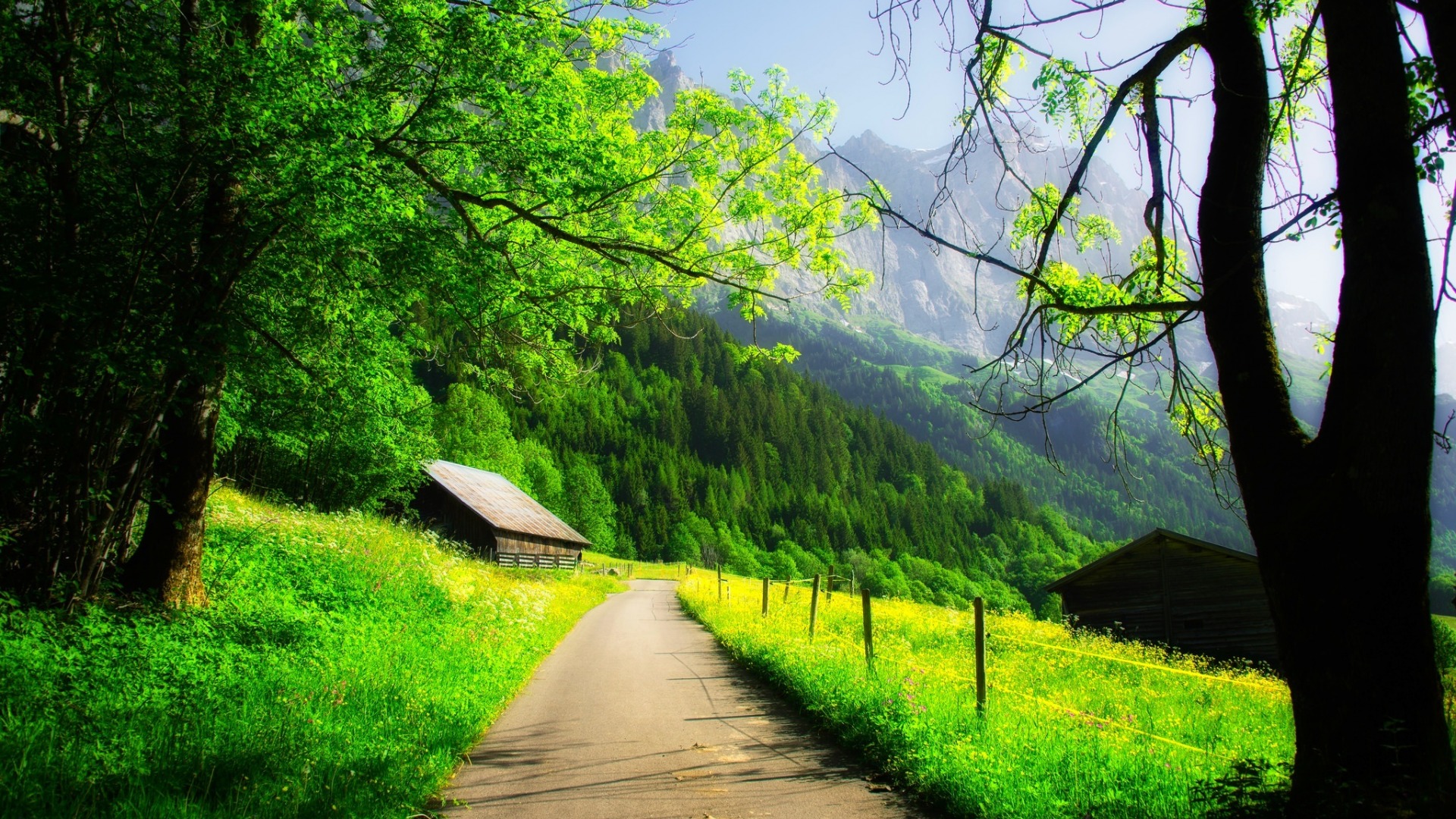 自然,山,房子,公路,森林,林木,风景高清壁纸