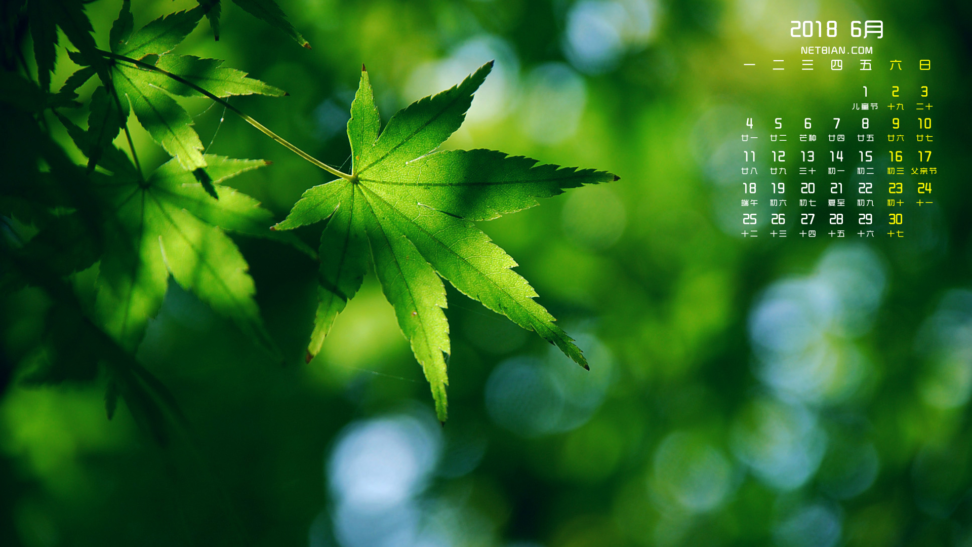 绿色枫叶2018年6月日历桌面高清壁纸护眼