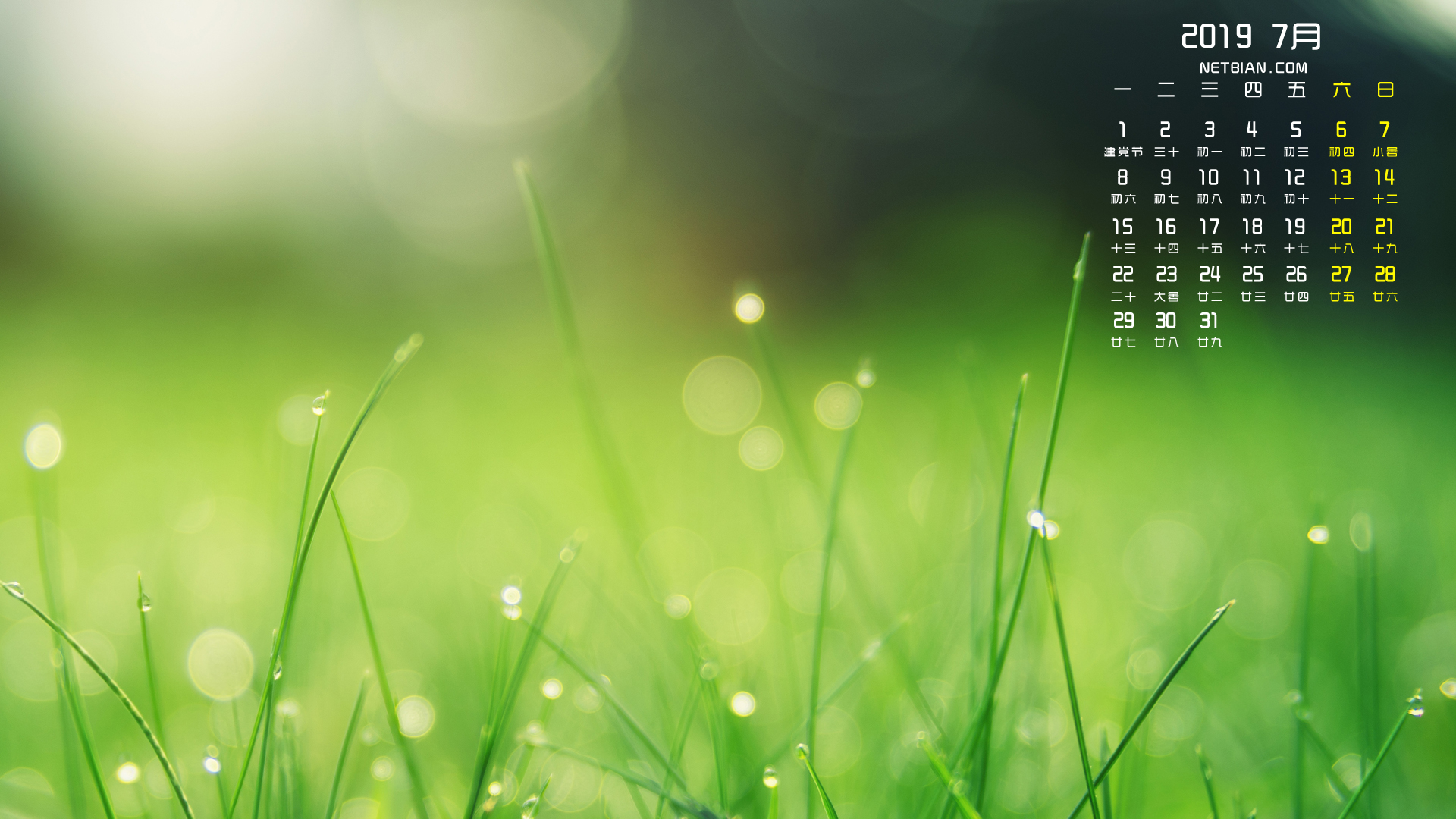 绿色植物小草2019年7月日历桌面高清壁纸