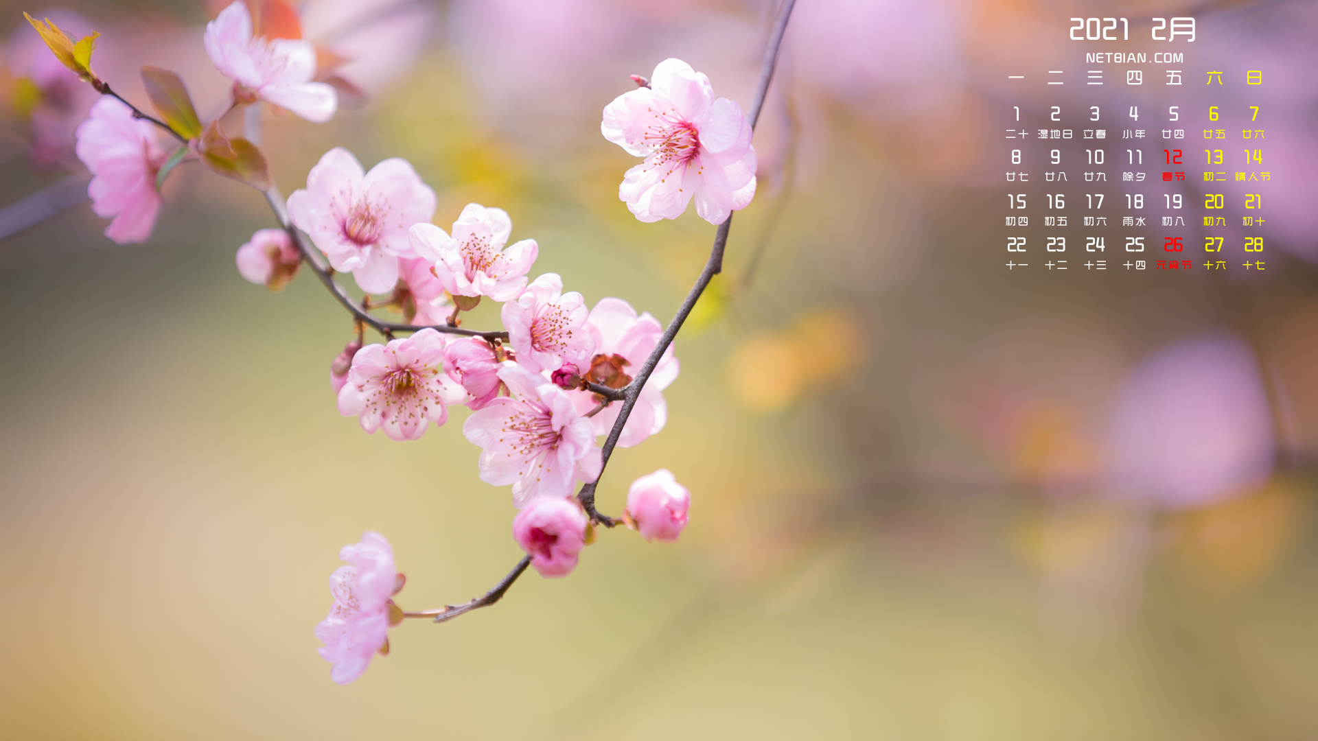 桃花2021年2月日历桌面高清壁纸