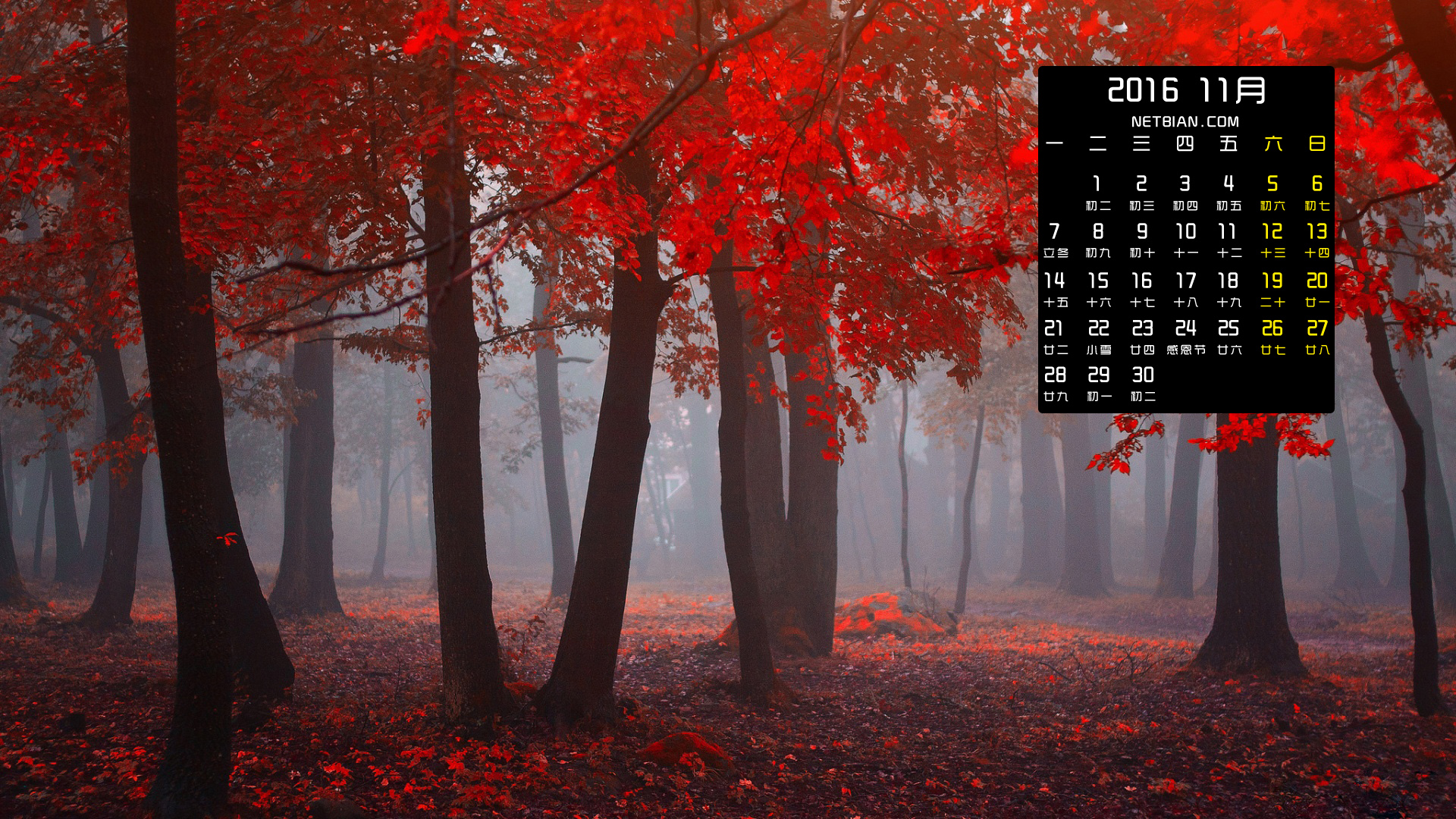 秋天森林红叶风景2016年11月日历桌面高清壁纸