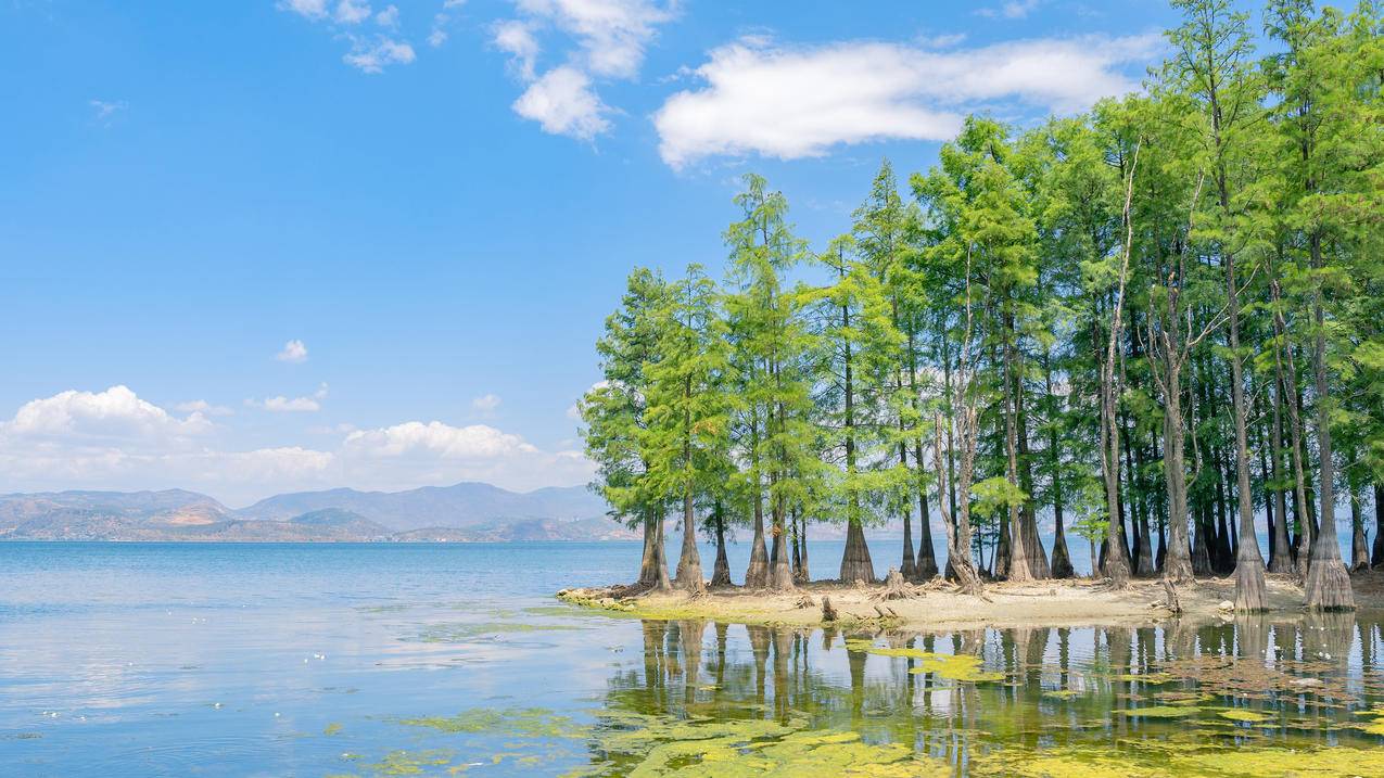 蓝天 白云 树林 湖水 倒影 4k 风景 高清壁纸