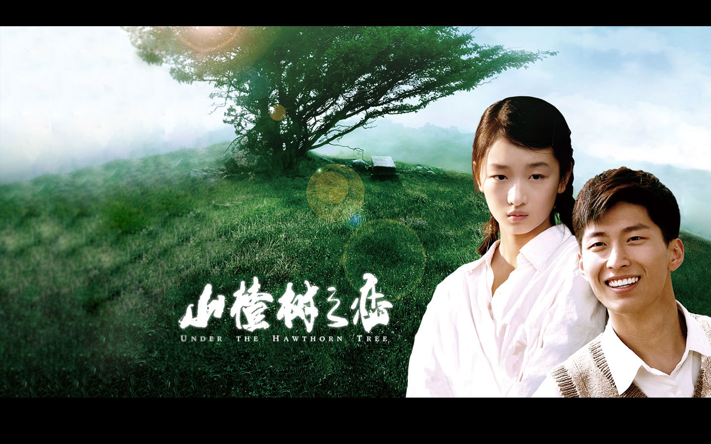 美丽的山楂树之恋桌面