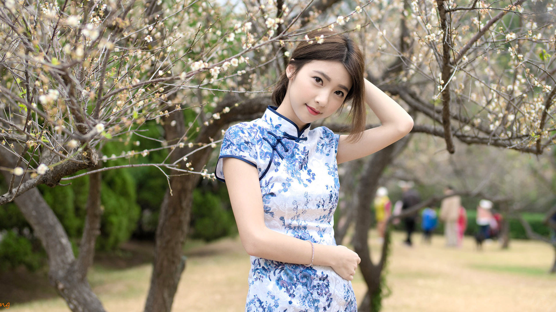 邻家女孩刘子涵 美丽的旗袍 美女桌面高清壁纸