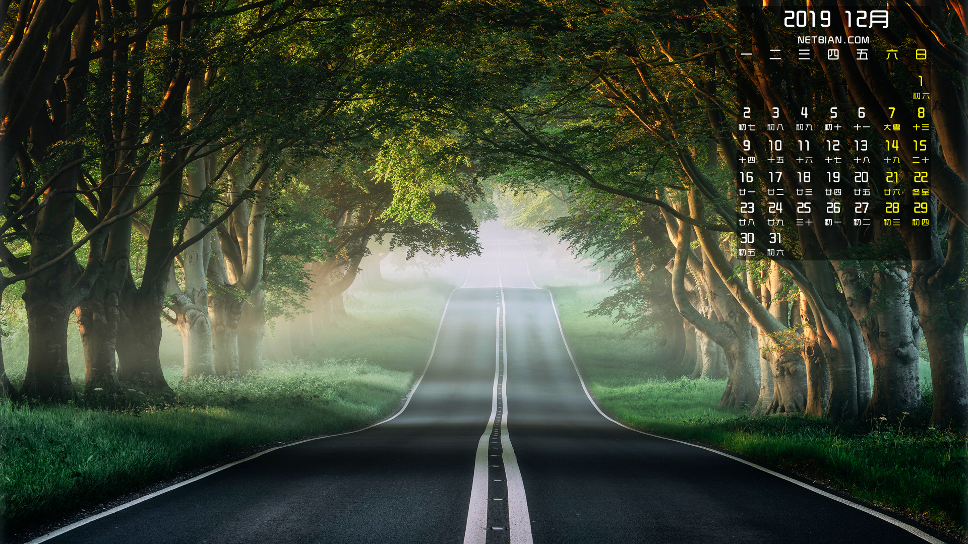 自然森林公路风景2019年12月日历桌面高清壁纸